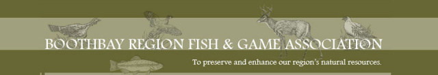 BRRGA Boothbay Fish and Game Association