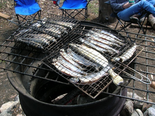 Brook trout on the grill