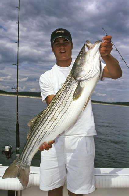 Striper