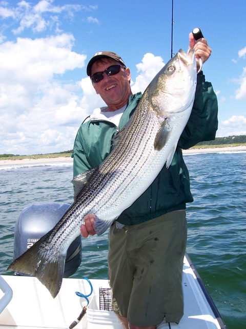 43" Striper