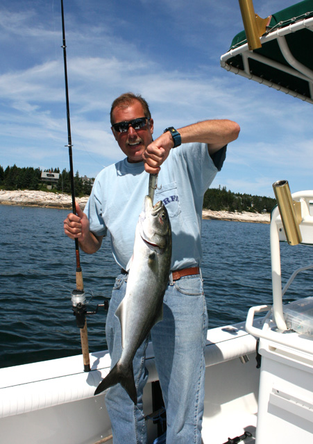 28" Bluefish