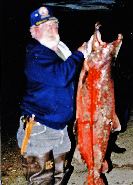 60 lb 48" King Salmon
