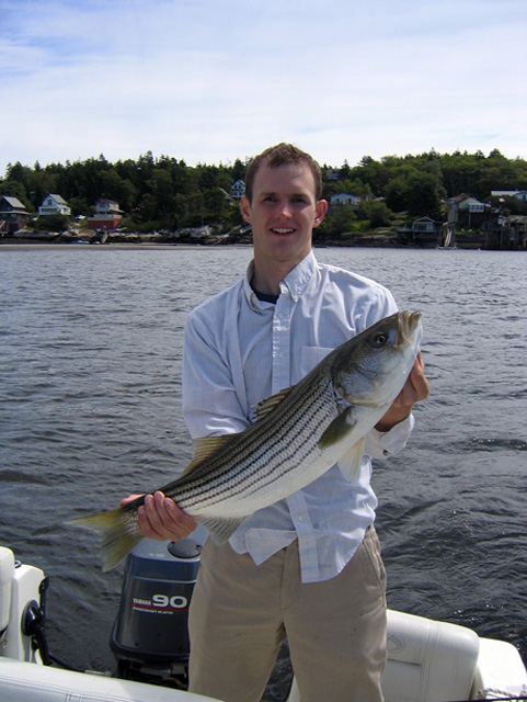 28" Striper