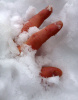 Frozen Finger Lives On!